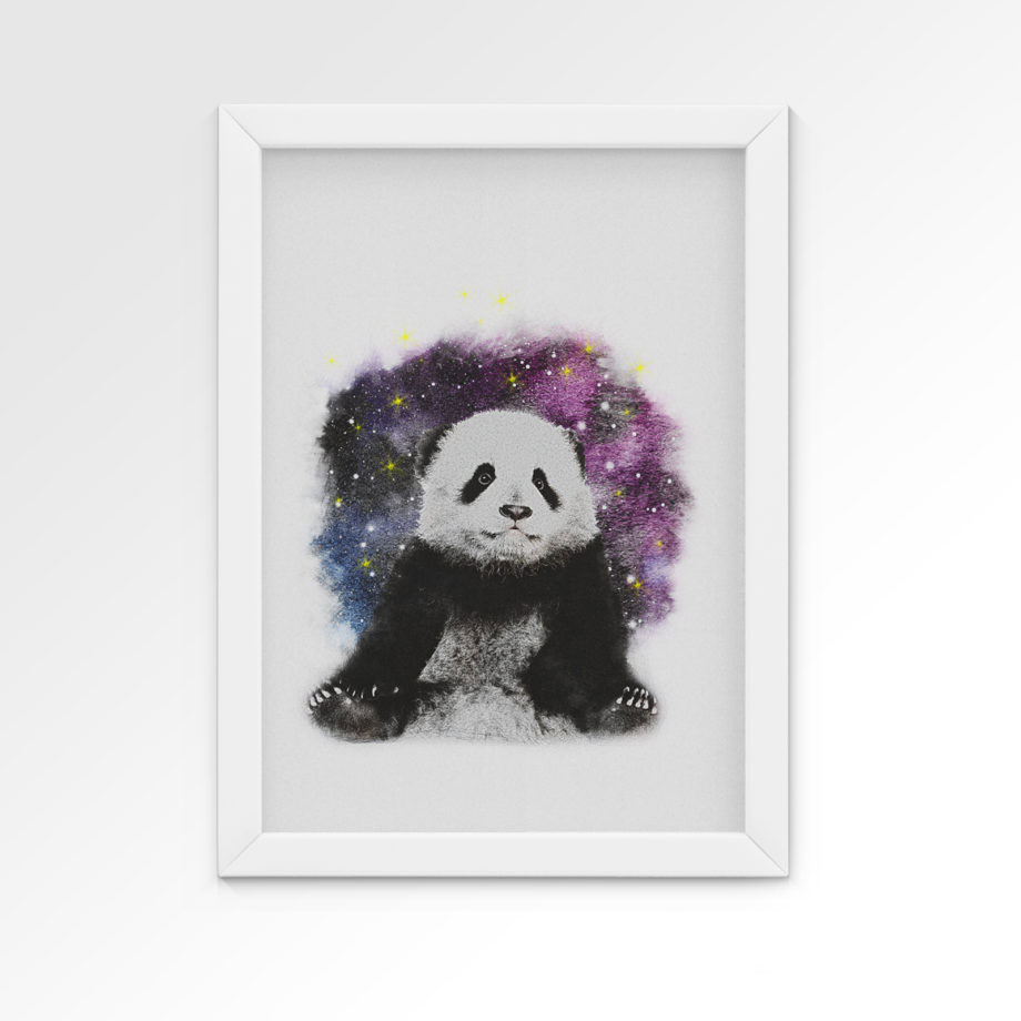 plakat-panda-galaxy
