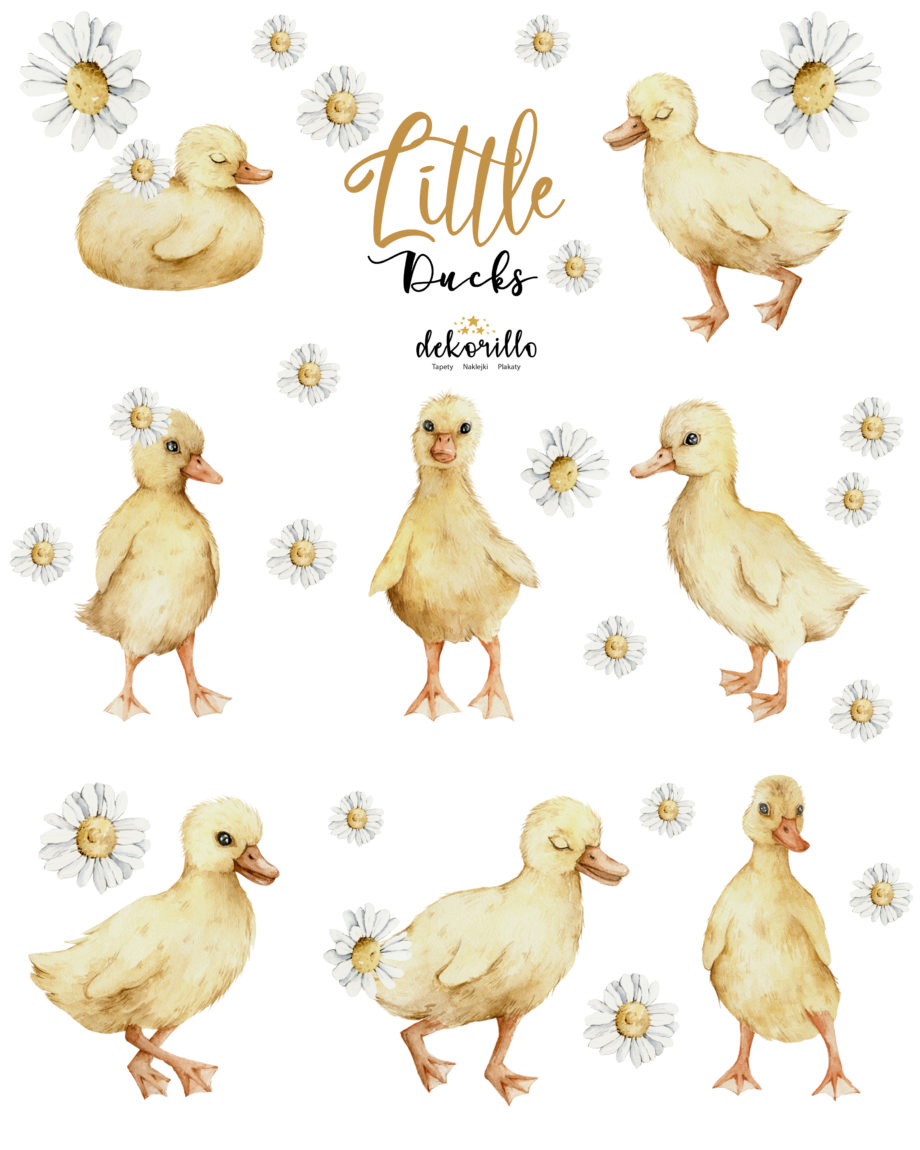 naklejki-little-ducks-dekorillo